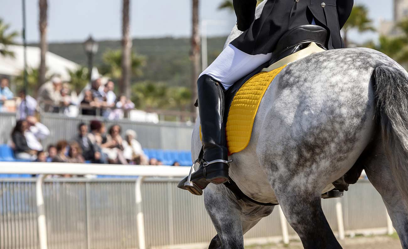 10/21 TWO JOIE DE VIE BRED WINS IN ROUND 2 OF THE HARVEST SERIES