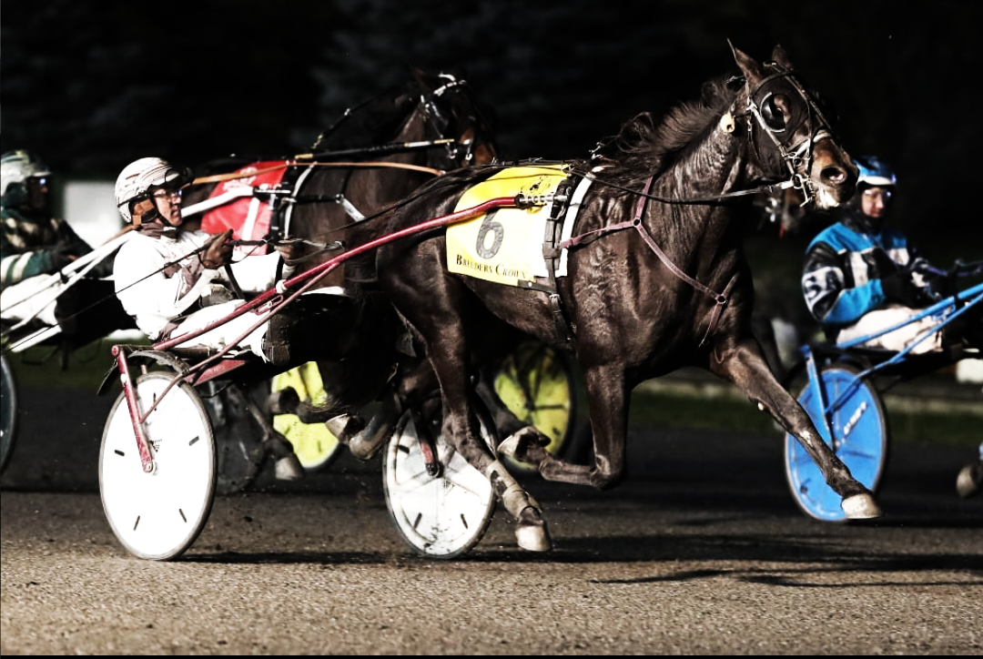10/26 WINN DE VIE Triumphs In Breeders Crown Filly Trot
