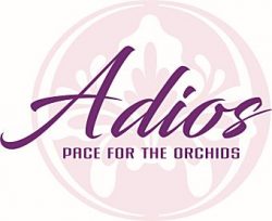 Don’t count Alagna out of Saturday’s $350,000 Adios at The Meadows
