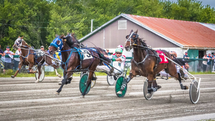 Stakes-Filled Card Set For Northside