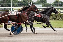 Seven Hundred, JD win NYSS splits at Batavia Downs