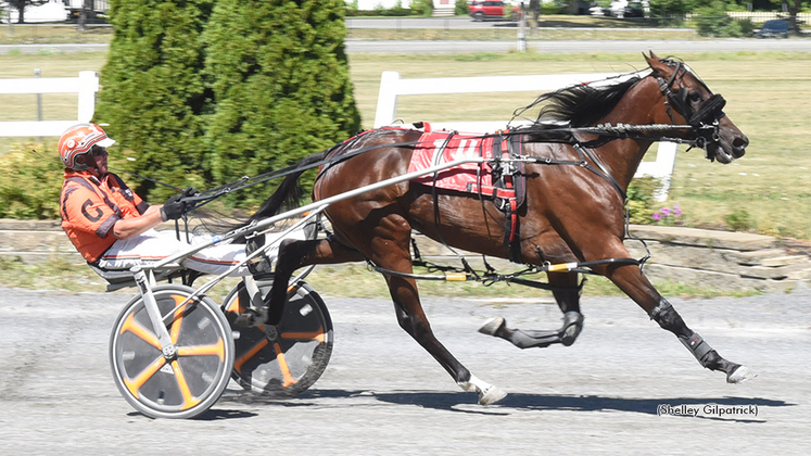 Use Yah Blinkah Takes New Mark In Maine Stakes