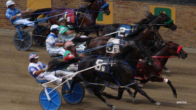 Clearfield Hosts Pennsylvania Fair Stakes